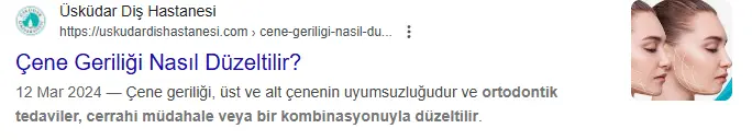 1739739334052.webp