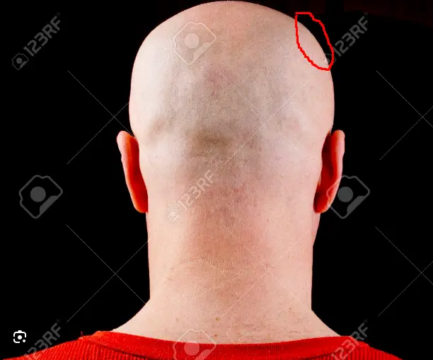 1740203376341.webp