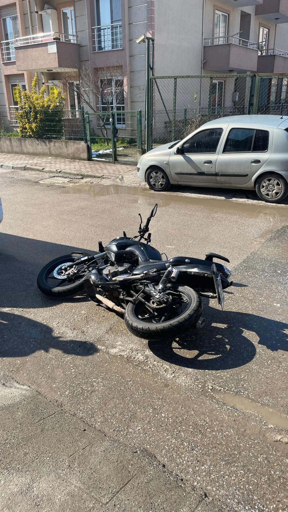 1740425478723.webp