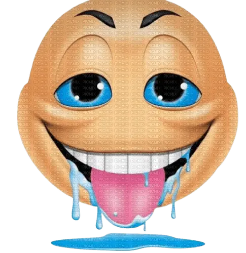 1740690220503.webp