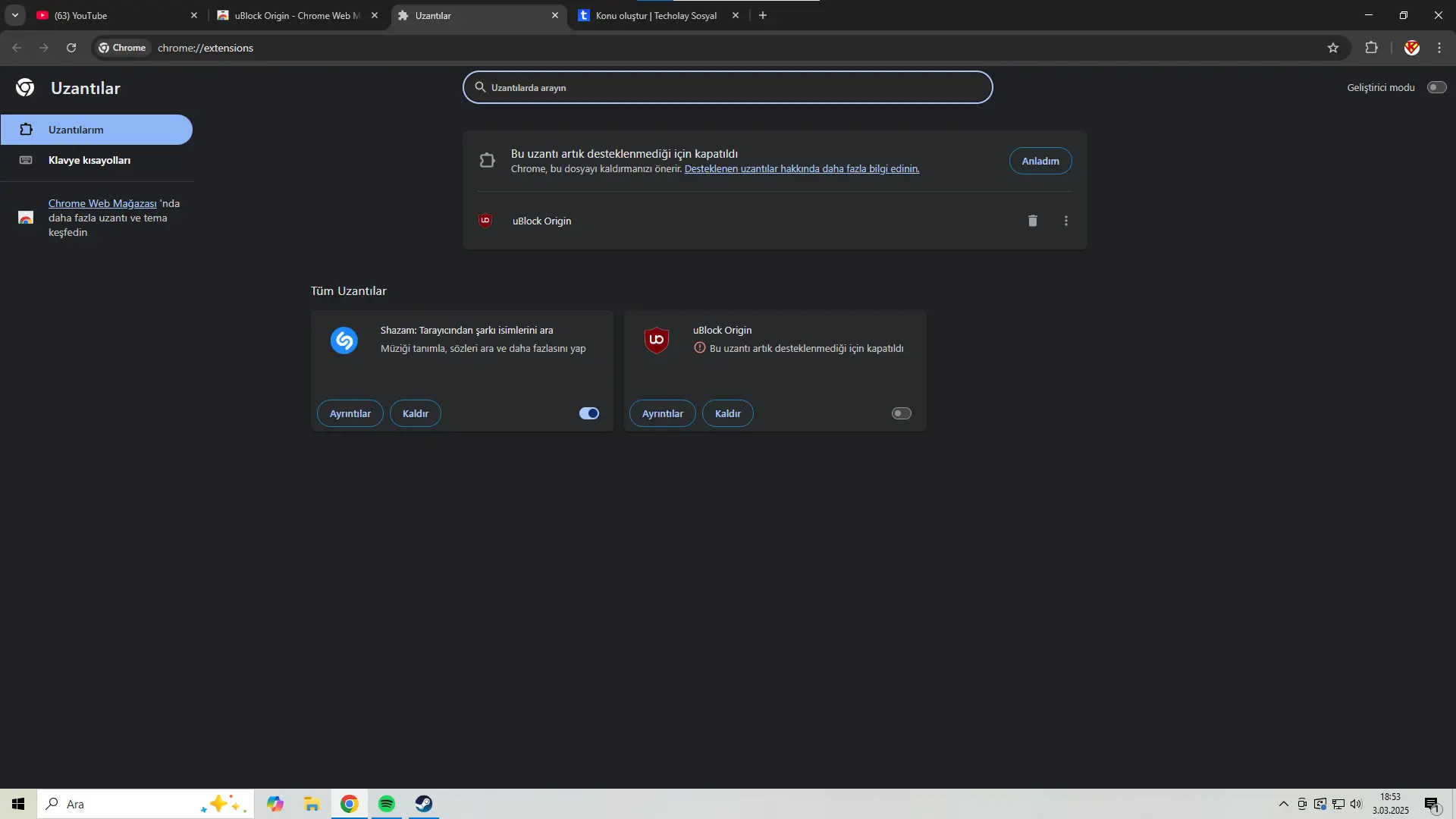 1741017228157.webp