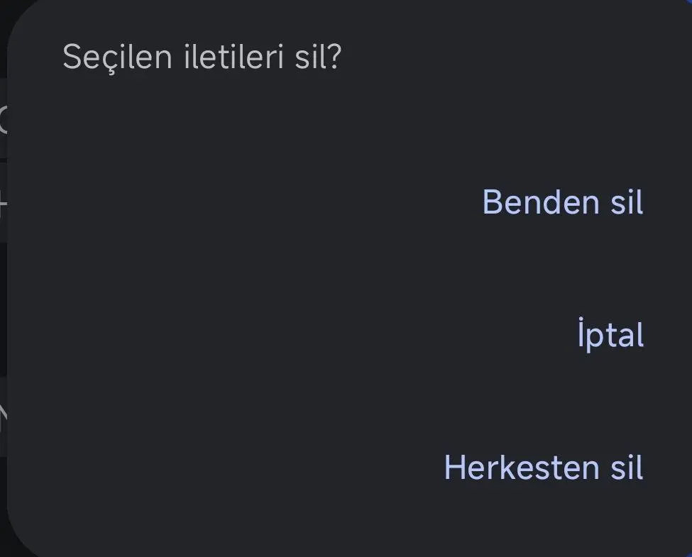 1741106700092.webp