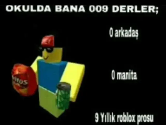 1741359244582.webp