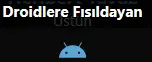 1741444845649.webp