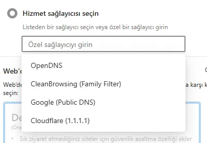 1741972781955.webp