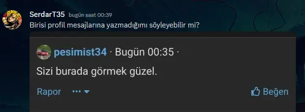 1742074921497.webp