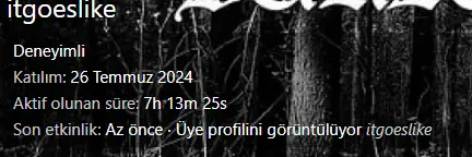 1742314707384.webp