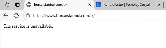 1742401129272.webp