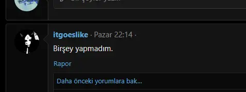 1742424711725.webp