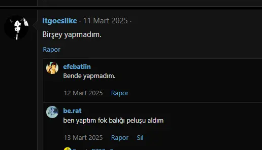 1742424721580.webp