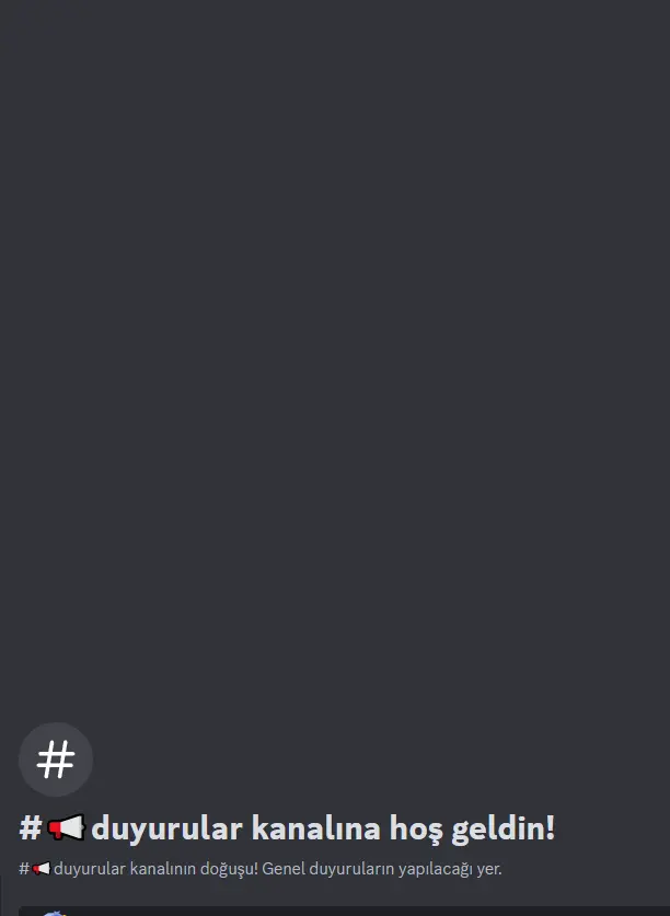 1742494323953.webp