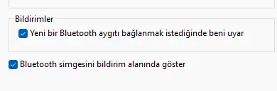1742571914307.webp