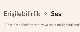 1742734598129.webp
