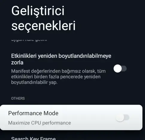 1742915697561.webp