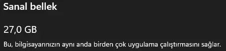 1743156258821.webp
