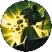 1743621453036.webp