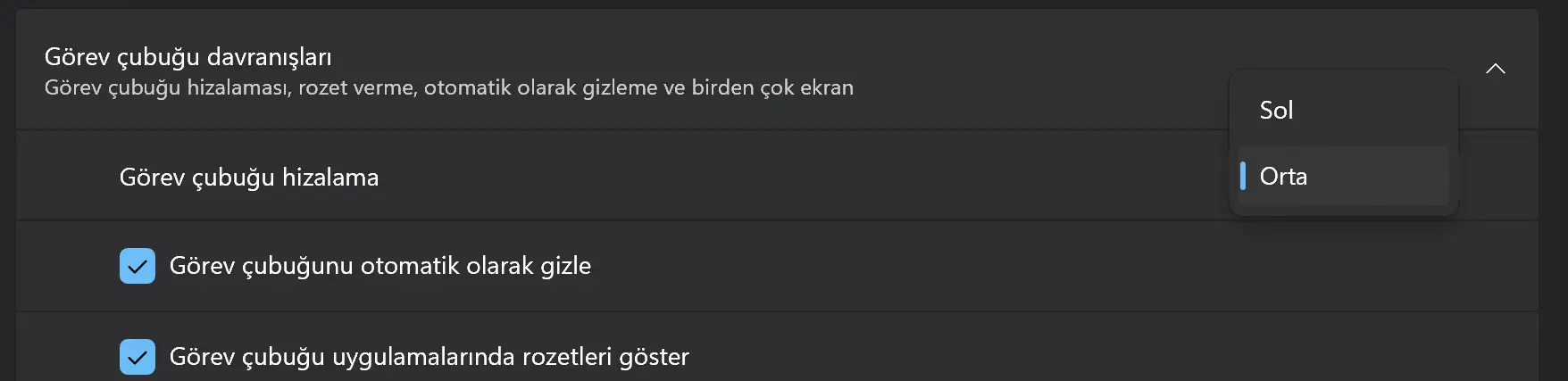 1744044904503.webp