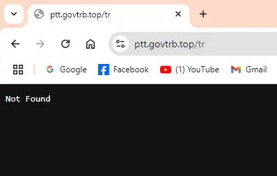 1745397448262.webp
