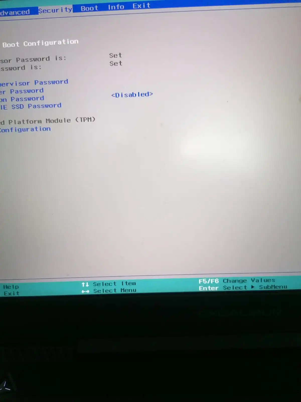 1745402746525.webp