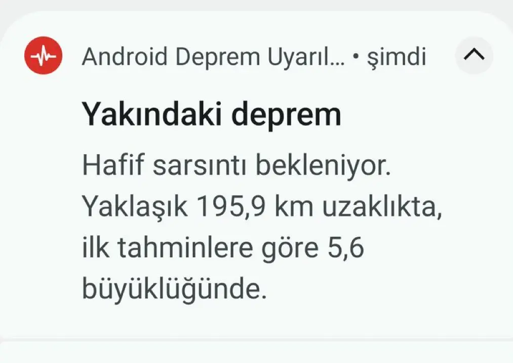 1745403912739.webp
