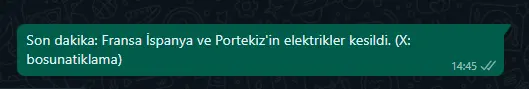 1745871079824.webp