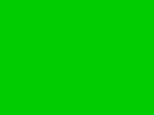 1746039007081.webp