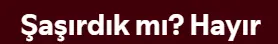 1746187371740.webp