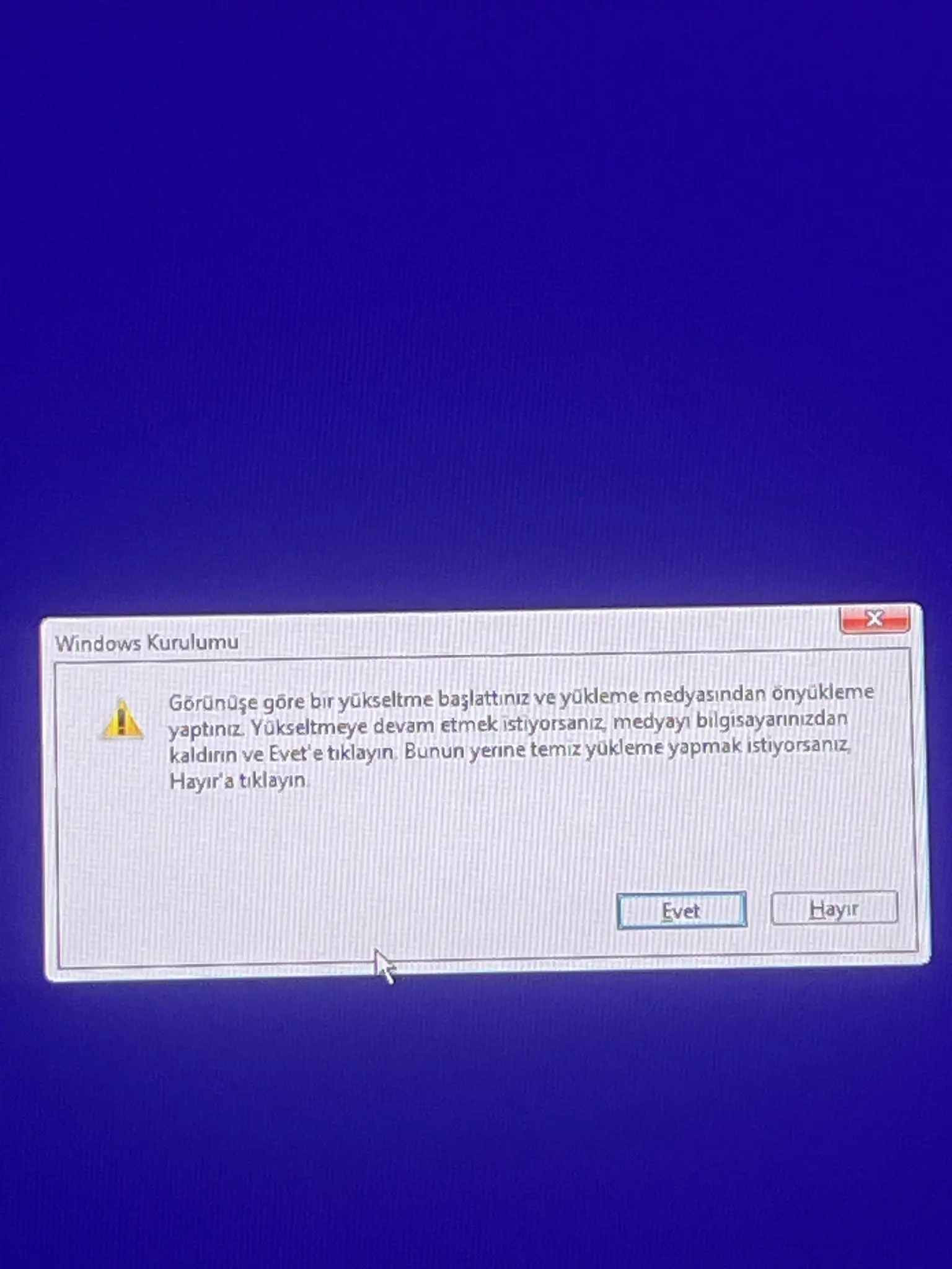1746242922548.webp