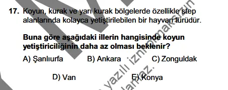 1746630596486.webp