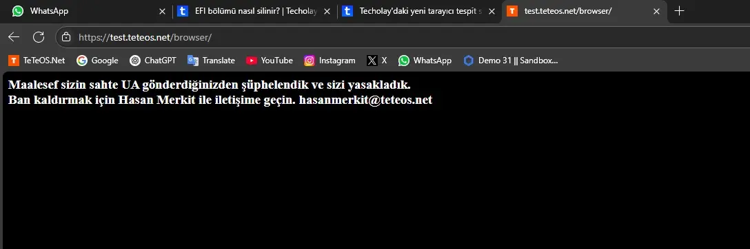 1747242786820.webp
