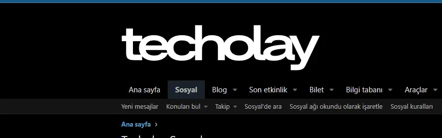 1747644215335.webp