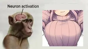 1747672385783.webp