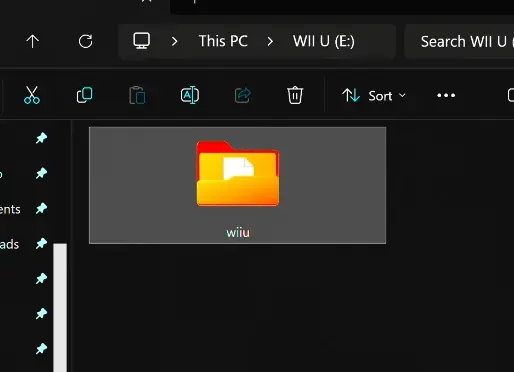 1748265156800.webp