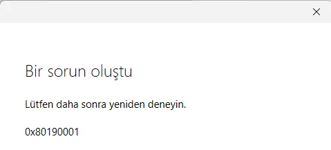 1748293260140.webp