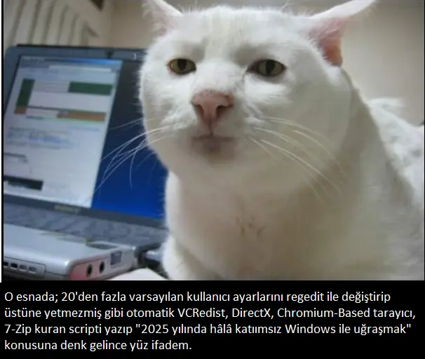 1748602088375.webp