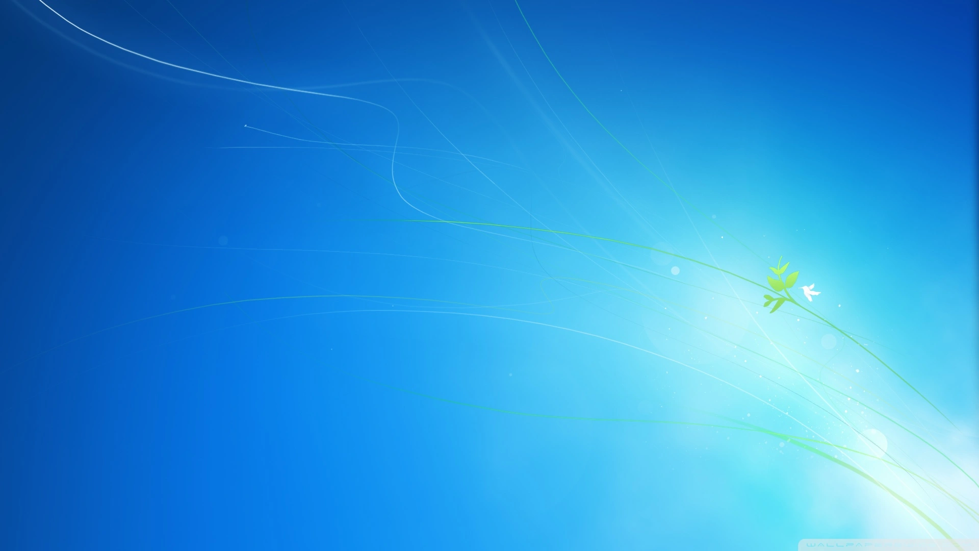 1749649484481.webp