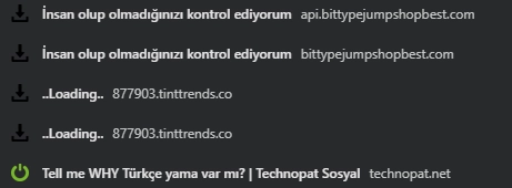 1750323226293.webp