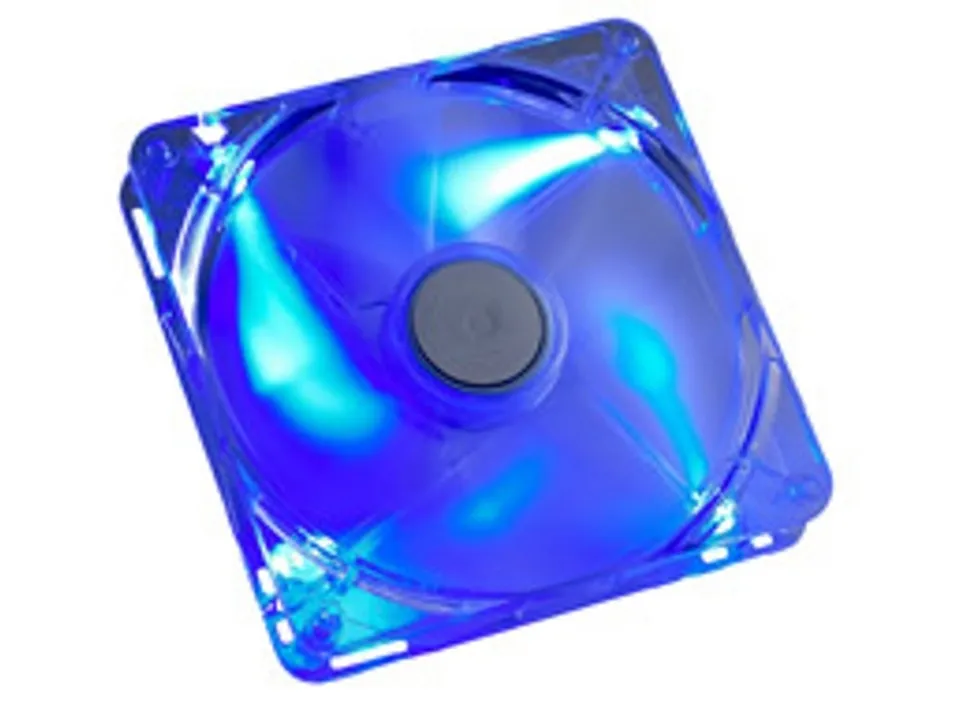 1750855460461.webp