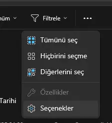 1751195239222.webp