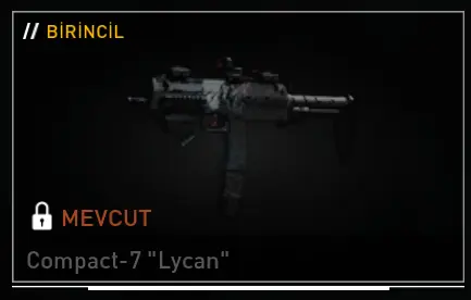1751282420380.webp