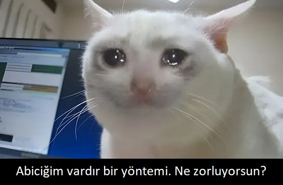1751814627345.webp