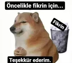 1752420632366.webp