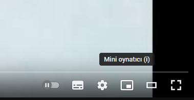1753356421291.webp