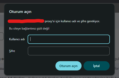 1755000113289.webp