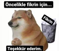 1755001455212.webp