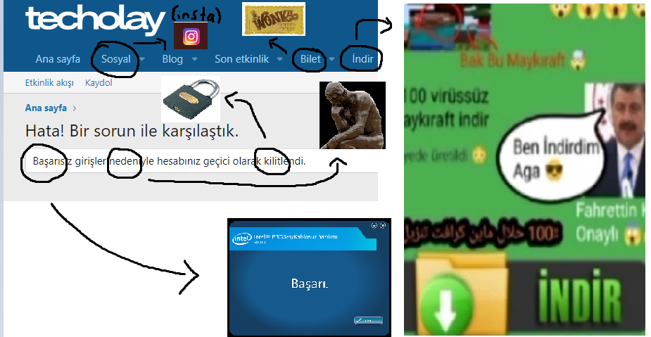 1755034048311.webp