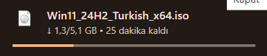 1756406123527.webp