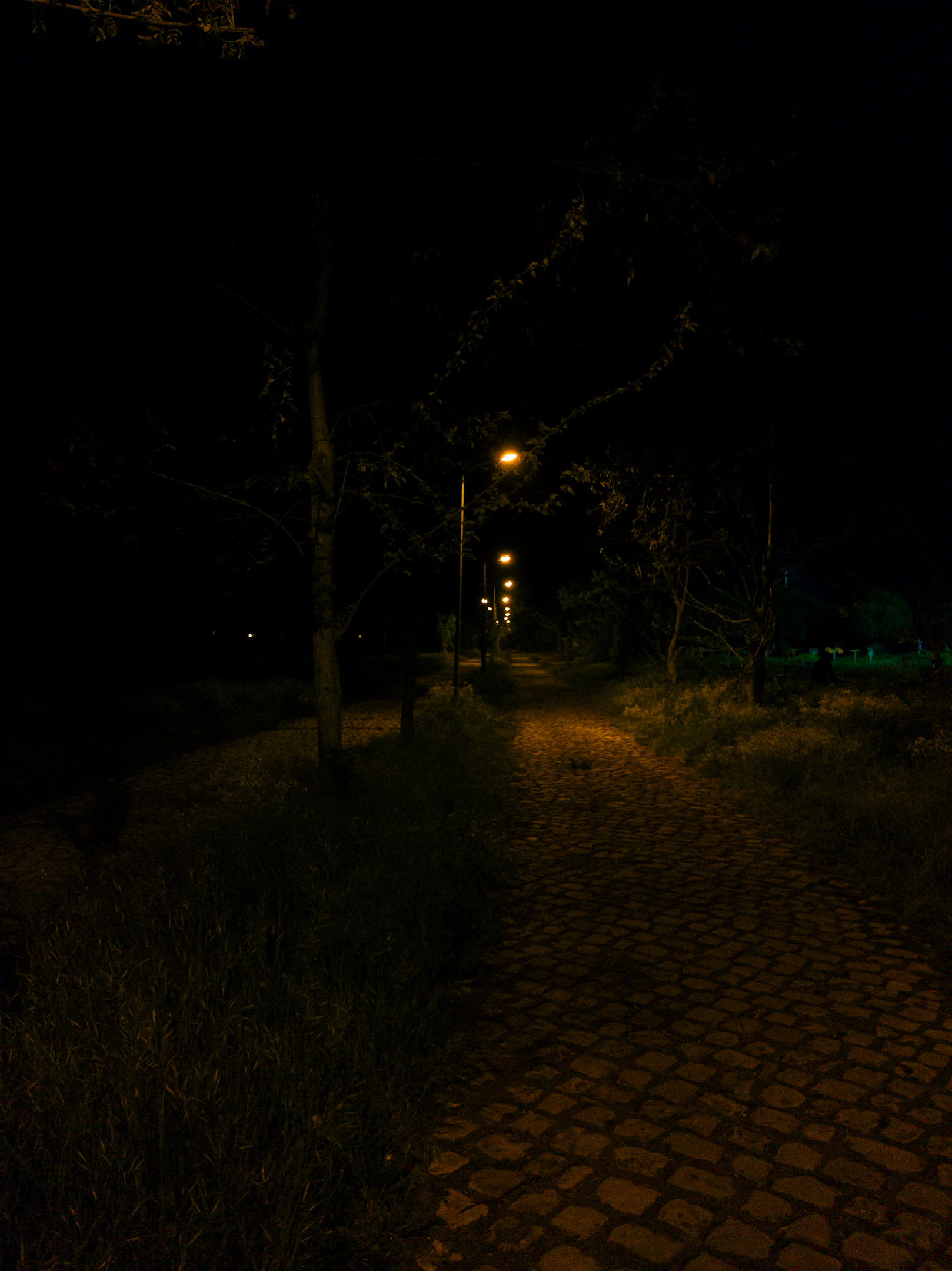 1756743375349.webp