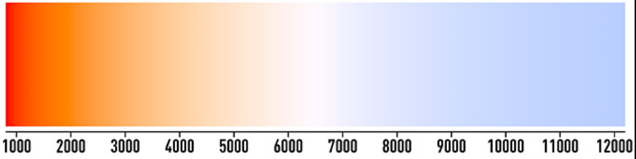 1757107701478.webp