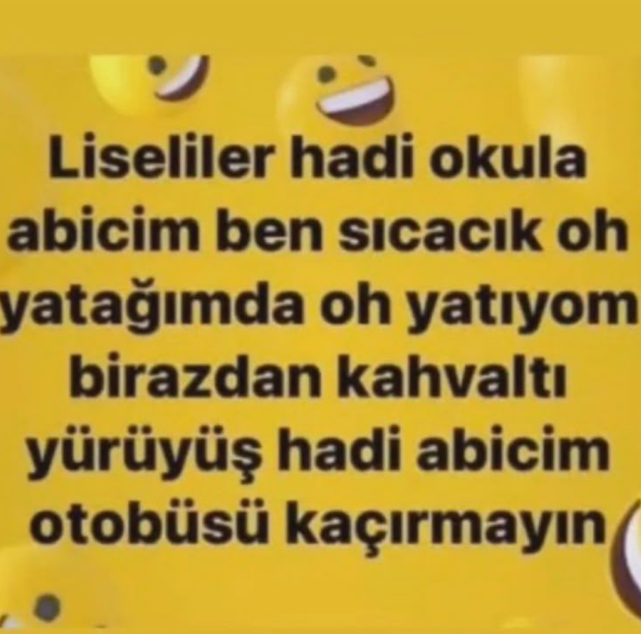 1757246825566.webp
